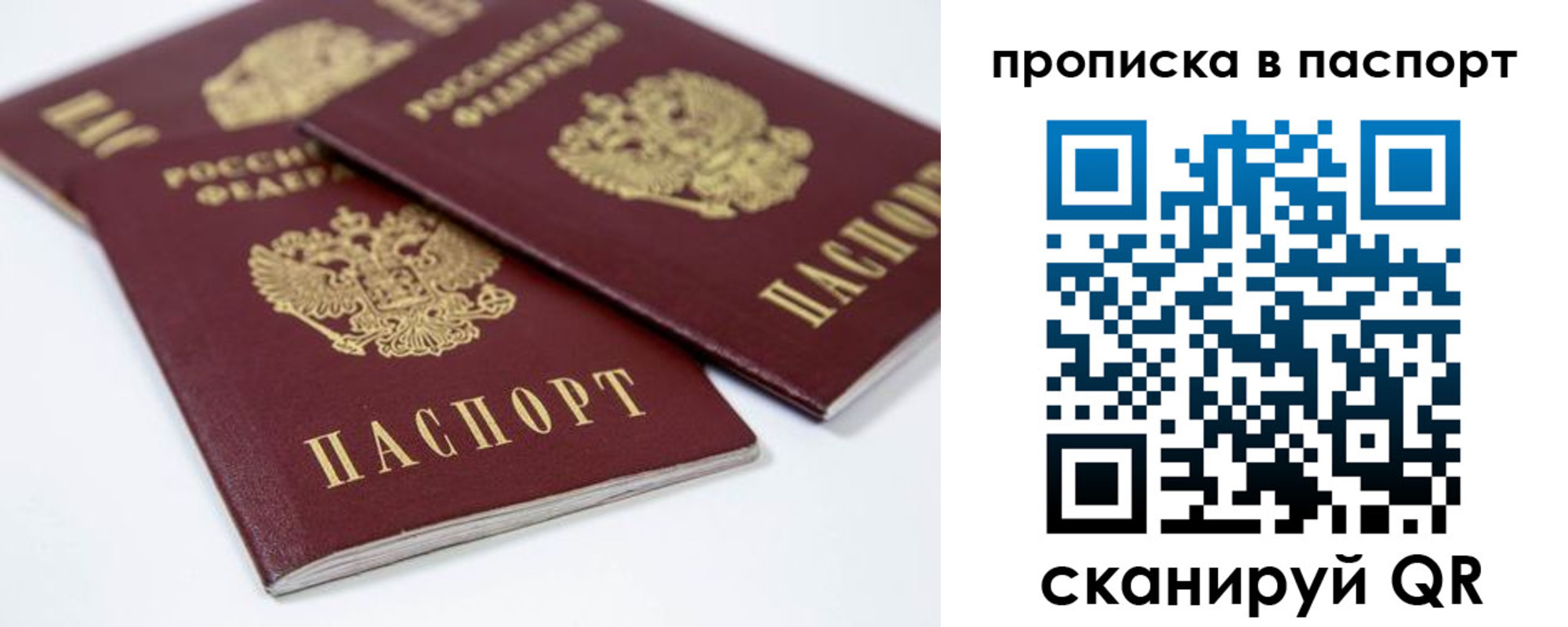 временная регистрация надежно в Мончегорске